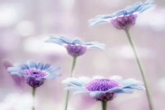 ��ɺ����2024��3�¾�з������