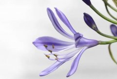 ��ɺ����2024��3��˫��������