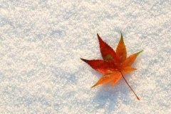 ��ɺ����2024��3�´�Ů������