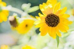 ��ɺ����2024��3�°���������