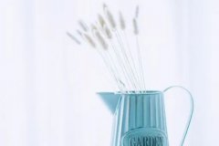 ��ɺ����2024��3��Ħ��������