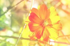 星座2024年3月11日到17日一周运势