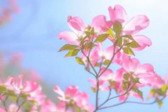 星座2024年3月25日到31日一周运势