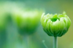 ��ɺ����2024��4�°���������