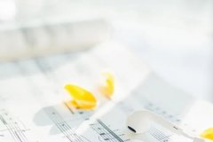 ��ɺ����2024��4�����������