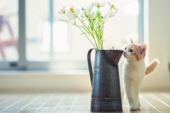 ��ɺ����2024��4��˫��������