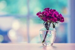 ��ɺ����2024��4�´�Ů������