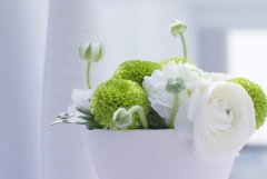 ��ɺ����2024��4��˫��������