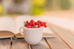 苏珊米勒2024年4月狮子座运势