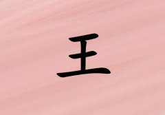 姓王女孩起名五行属火三个字名字_姓王女孩属火100分三个字名字