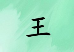 姓王女孩起名五行属木三个字名字_姓王女孩属木100分三个字名字