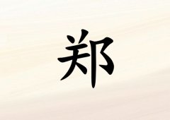 姓郑女孩起名五行属金三个字名字_姓郑女孩属金100分三个字名字
