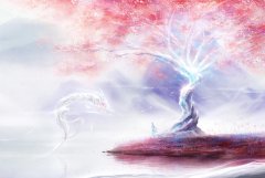 苏珊米勒2024年5月金牛座运势