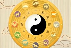 ������ɷ����