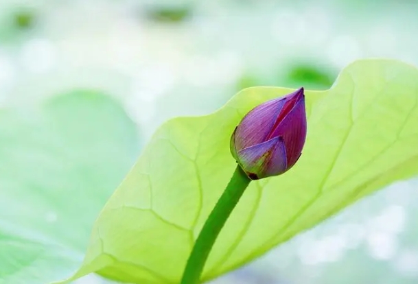 ����2024��6��3�յ�9��һ������