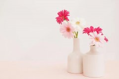 苏珊米勒2024年6月射手座运势