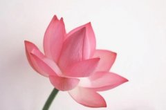 ����2024��7��1�յ�7��һ������