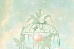 苏珊米勒2024年7月白羊座运势