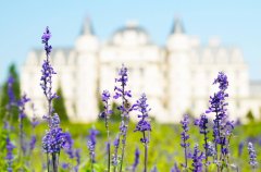 ����2024��7��15�յ�21��һ������