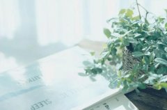 苏珊米勒2024年8月射手座运势