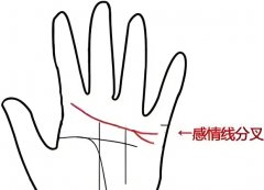 û�л�����Ԥʾ��ʲô