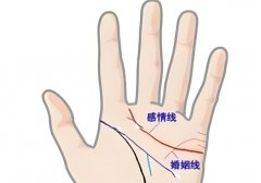 �ܼ޸����Ϲ�������