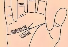 �鳡Ӯ�ҵ�����