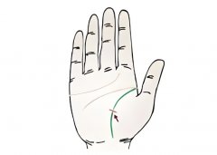 ���࿴����ĵ����̶�