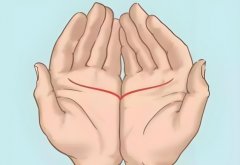 ���࿴���ǲ��Ǹ���Ӯ��