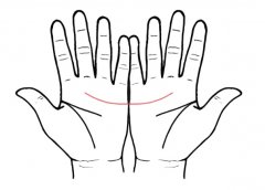 �����ֵ�����