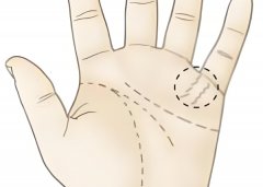 让你成为豪门的掌纹