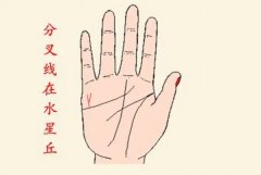 什么手相会成为有钱人