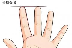食指最长的人财运最好