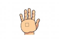 有横财运的手相