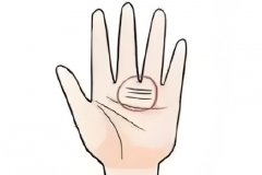 长啥手相的人最招财