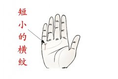 最能聚财的手相