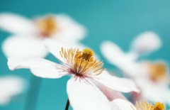 ����2024��8��19�յ�25��һ������