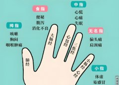 五指快速诊断健康法
