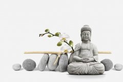 �÷���ӽǿ���������ͬ�����˰���