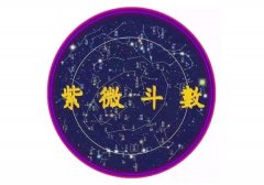 ��΢����������ô����