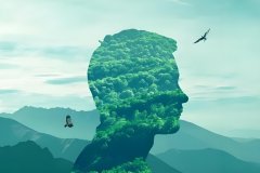 ��΢�������ѧϰ���ŵ���ͨ��