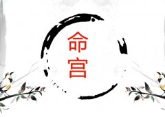 ��΢��������ӦΪ��ʧ��֮������