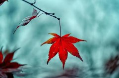 ����2024��10��21�յ�27��һ������