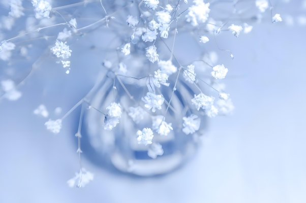 ����2024��10��28�յ�11��3��һ������