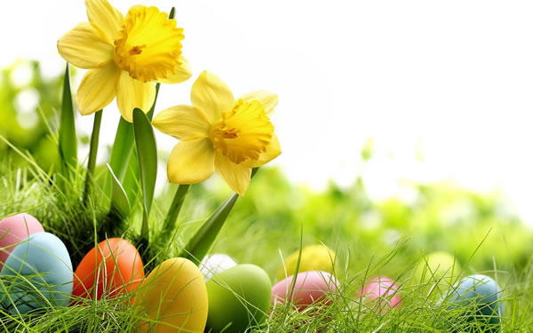 ��ţ��2025�����Ƽ��˳����,2025����ţ��ȫ�������˳�