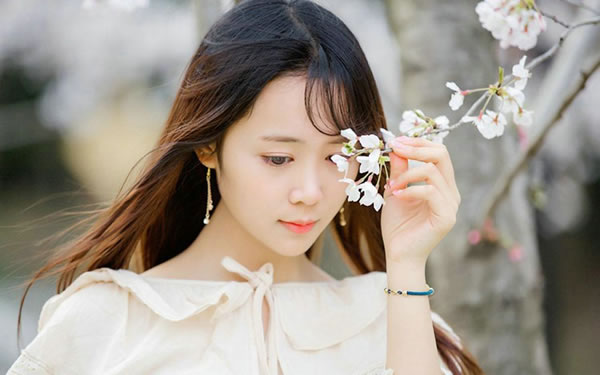 ������2025�����Ƽ��˳����,2025��������ȫ�������˳�