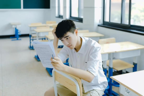 狮子座2025年运势详解