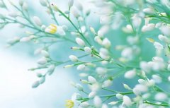 ������2026�����Ƽ��˳����,2026��������ȫ�������˳�