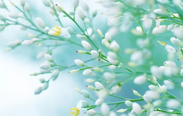 ������2026�����Ƽ��˳����,2026��������ȫ�������˳�