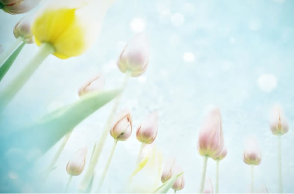 ������2026�����Ƽ��˳����,2026��������ȫ�������˳�